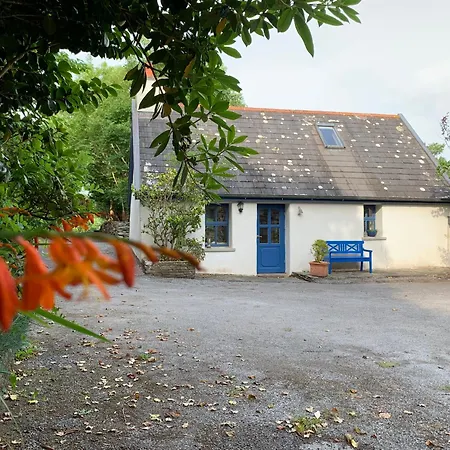 Cozy Garden Wild Atlantic Way Mizen Goleen