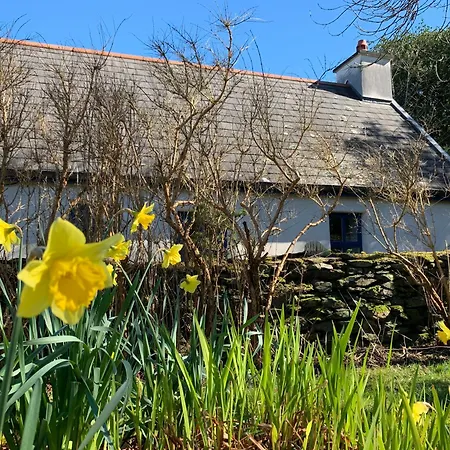 Cozy Garden Wild Atlantic Way Mizen בית נופש *
