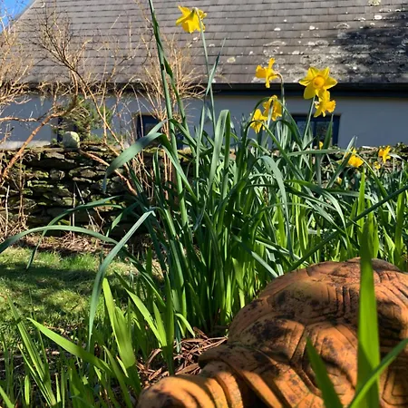 Cozy Garden Wild Atlantic Way Mizen Goleen