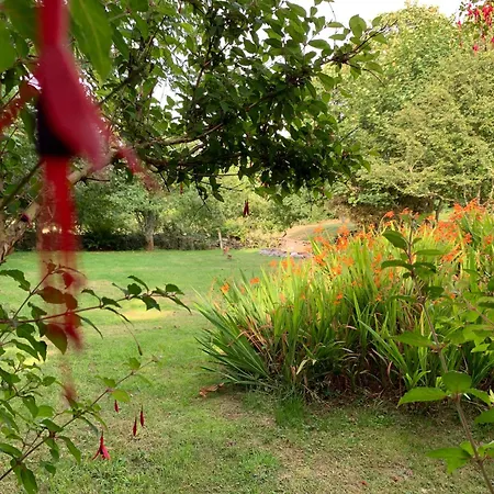 Cozy Garden Wild Atlantic Way Mizen בית נופש Goleen