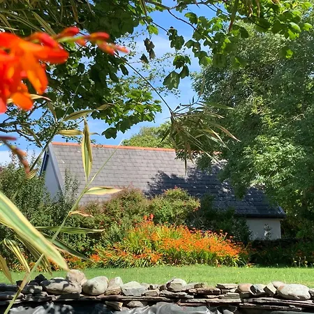 Cozy Garden Wild Atlantic Way Mizen Goleen