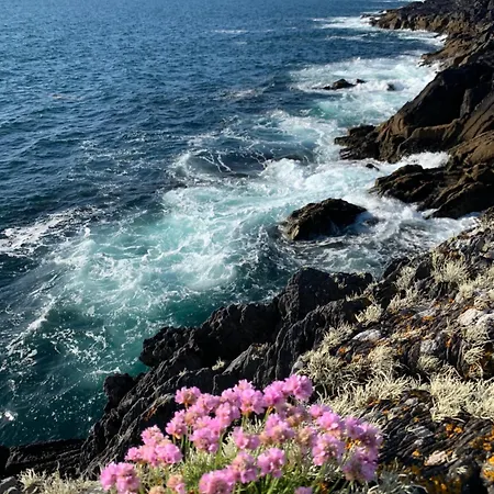 Cozy Garden Wild Atlantic Way Mizen